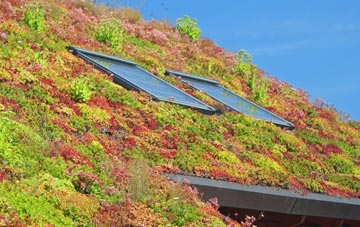 Beanacre living roof systems